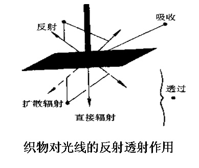 抖圈- (中国区)抖圈为赌而生